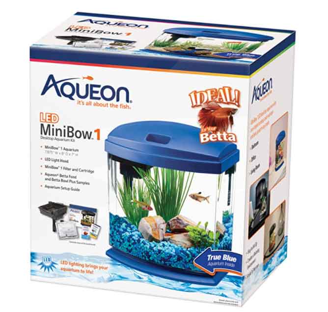 aqueon minibow desktop aquarium