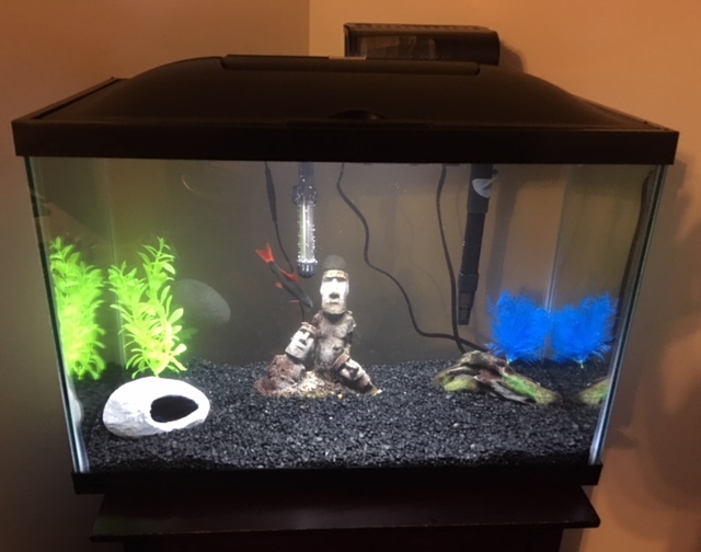 which fish tank is best
