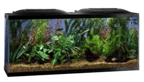 marineland 20 gallon