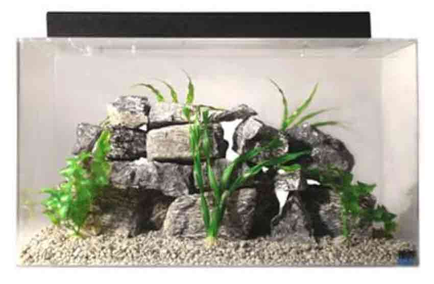 seaclear aquarium 20