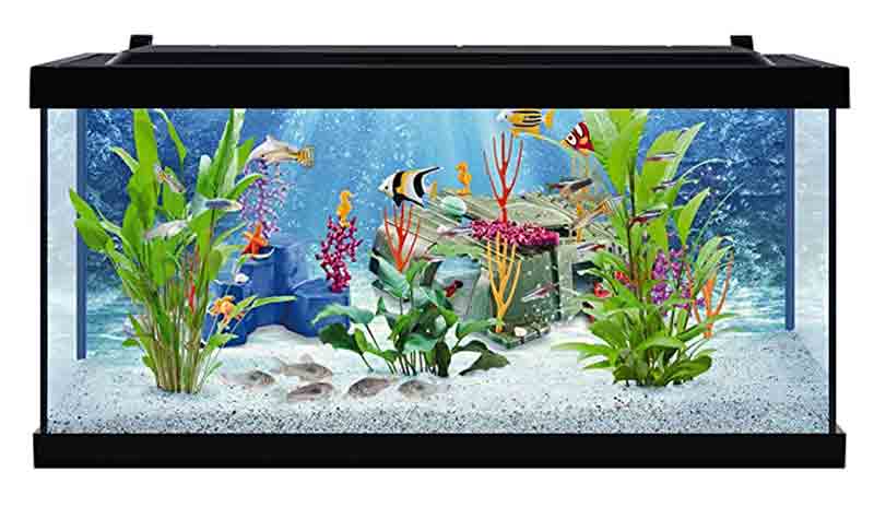 tetra playmobil 10 gallon aquarium