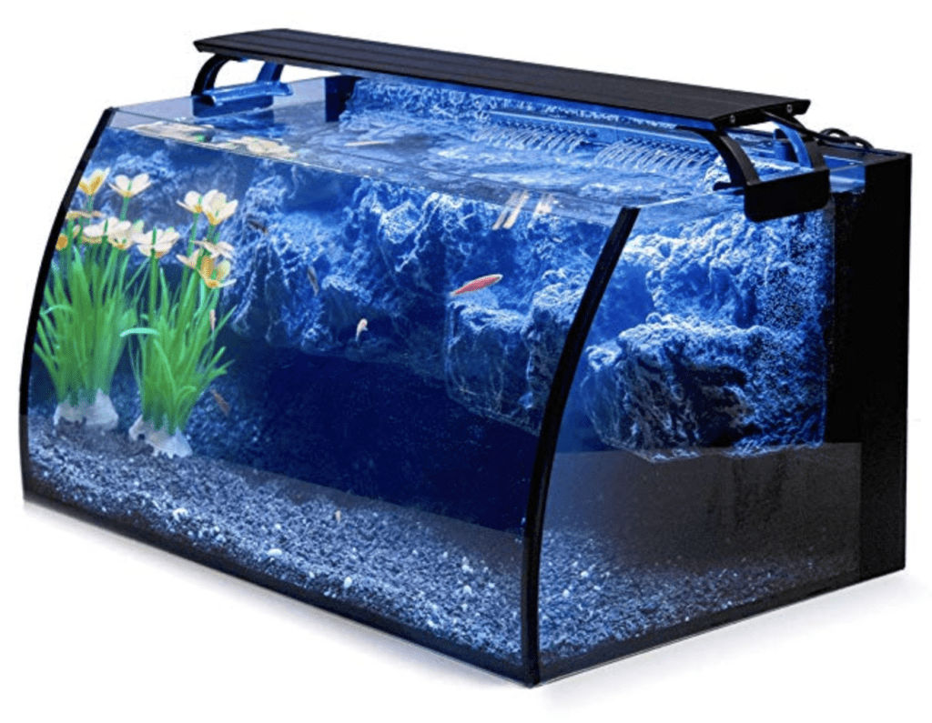 Best 10-Gallon Fish Tanks Available - Top 6 of 2021