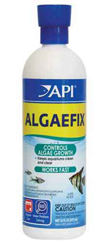 get rid of algae