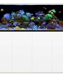 220-gallon Reef 220.6 Waterbox Aquarium