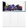 peninsula 6025 waterbox aquariums 183 gallons