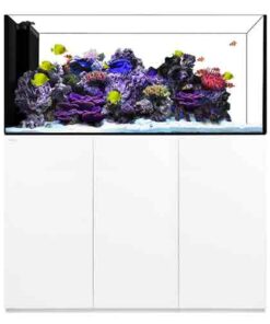 peninsula 6025 waterbox aquariums 183 gallons