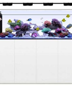 Peninsula 7225 Plus HD Edition 228 Gallons Waterbox Aquariums