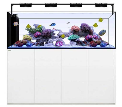 Peninsula 7225 Plus HD Edition 228 Gallons Waterbox Aquariums