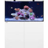 reef-1003-plus-hd-edition-100-Gallons-Waterbox Aquariums