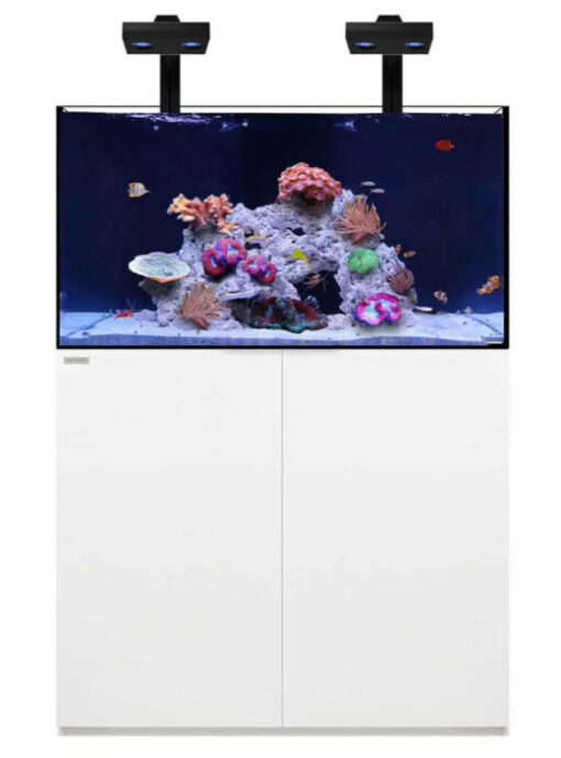 reef-1003-plus-hd-edition-100-Gallons-Waterbox Aquariums