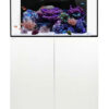 Reef 100.3 Waterbox Aquariums - 100 gallons - White
