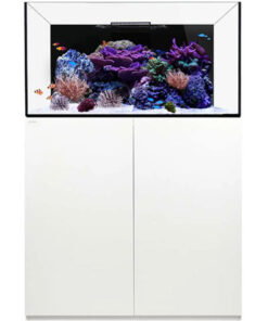 Reef 100.3 Waterbox Aquariums - 100 gallons - White