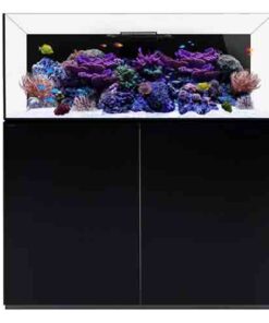 reef waterbox 130 gallon fish tank