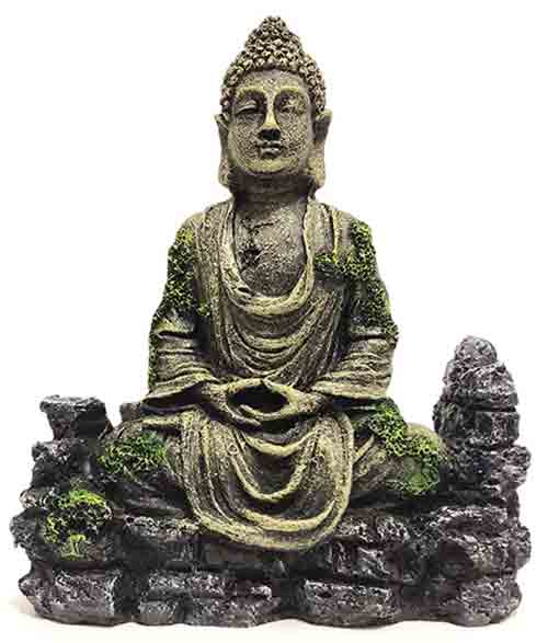 buddah fish tank decoration ideas
