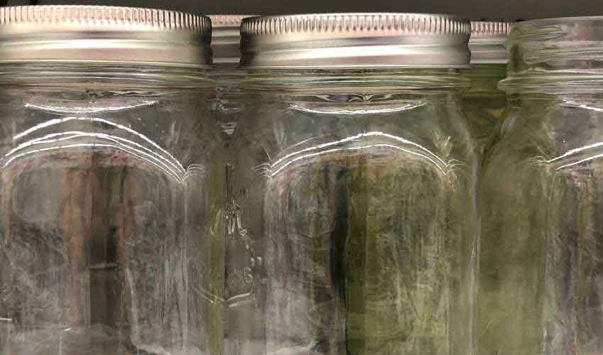 make a jarrarium